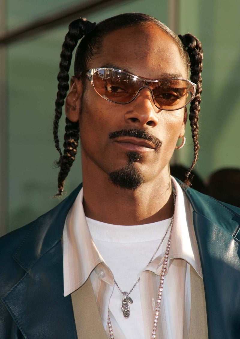 Snoop Dogg braids