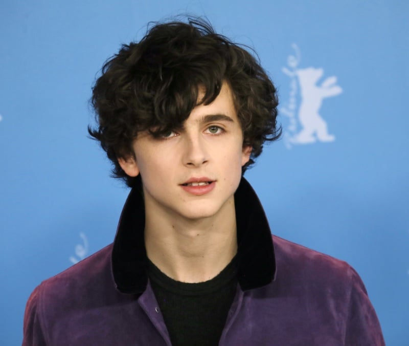 Timothee Chalamet curly shag