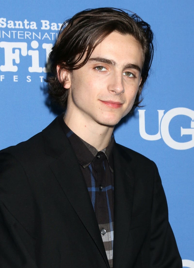 Timothee Chalamet straight hair