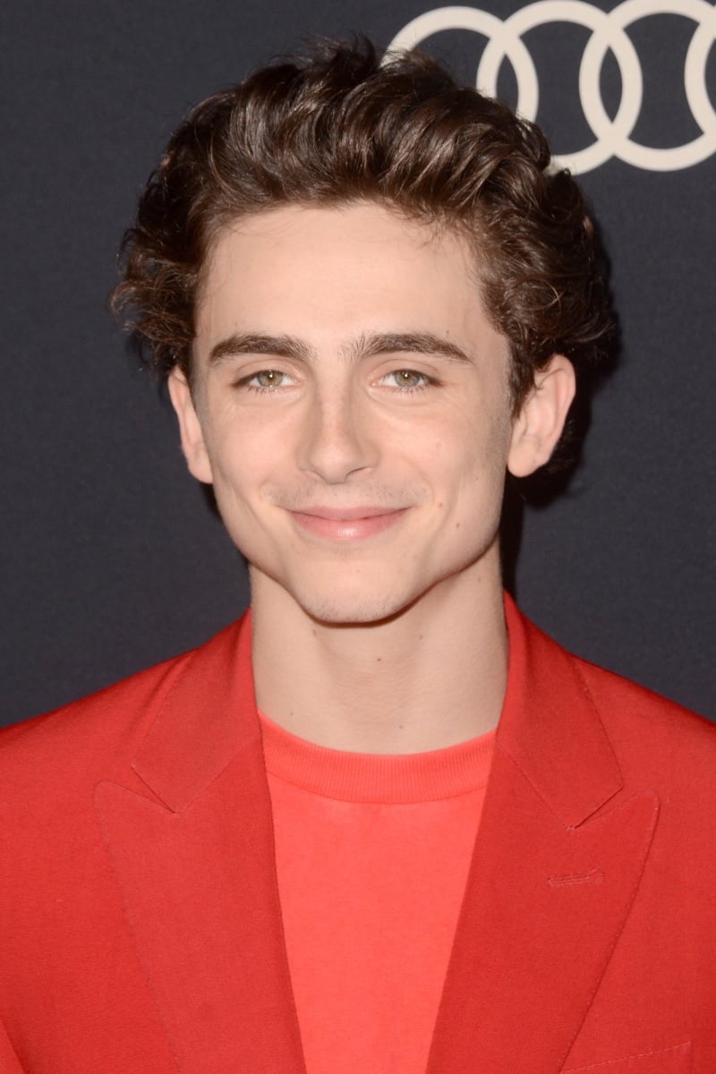 Timothee Chalamet brushed back hair