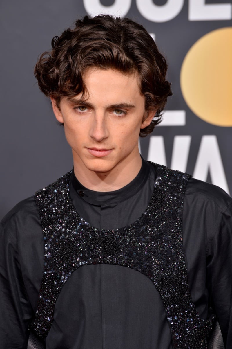 Timothee Chalamet medium haircut