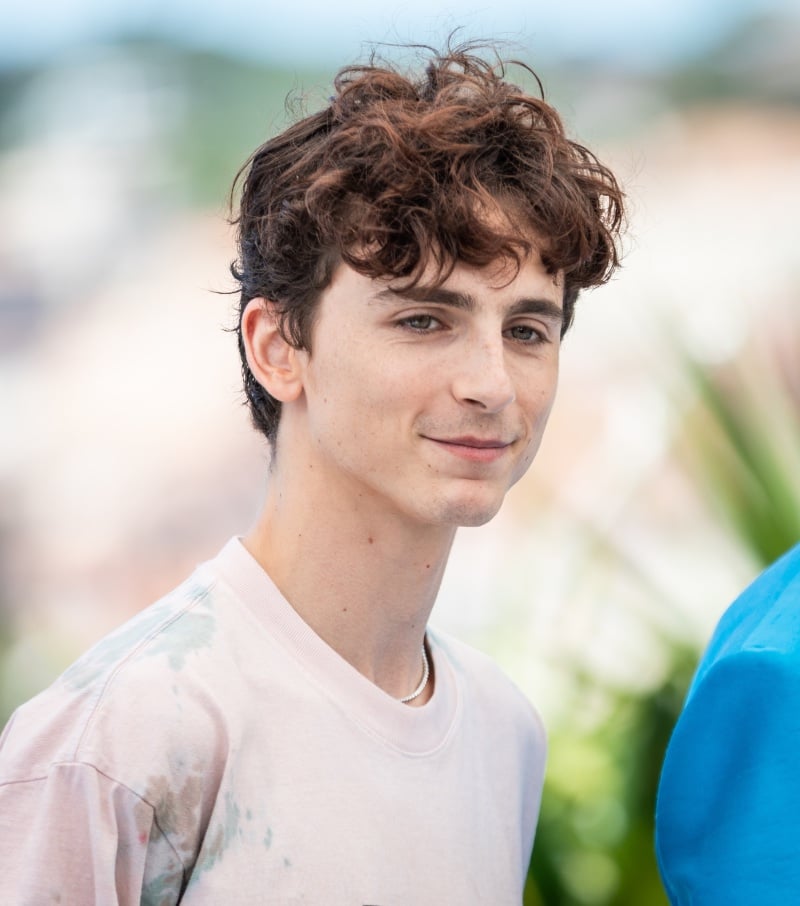 Timothee Chalamet curly hair Cannes