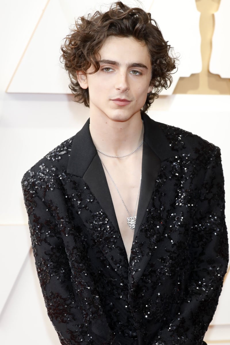 Timothee Chalamet Oscars 2022 hair