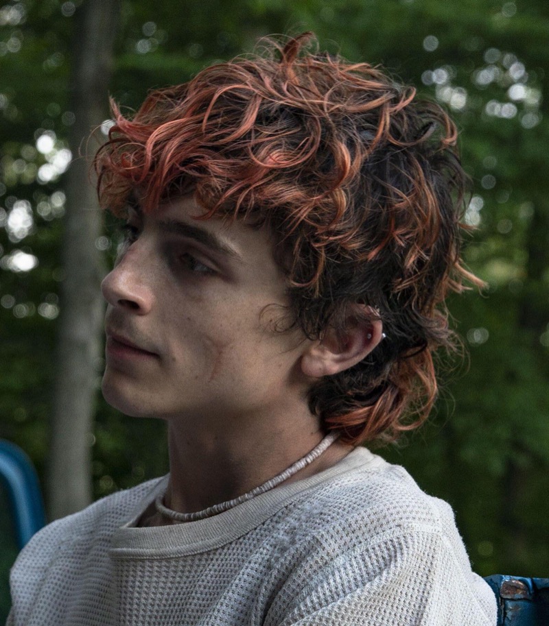 Timothee Chalamet Bones and All hair