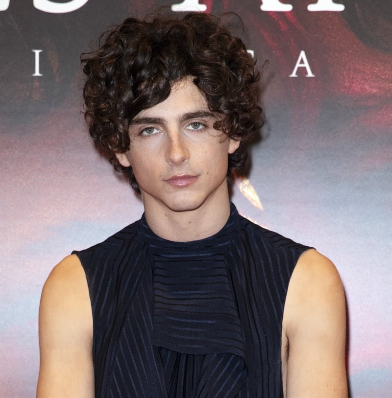 Timothee Chalamet curly crop