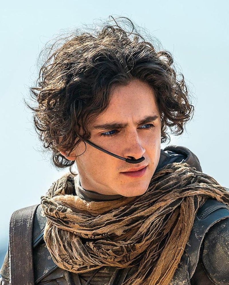 Timothee Chalamet Dune hair