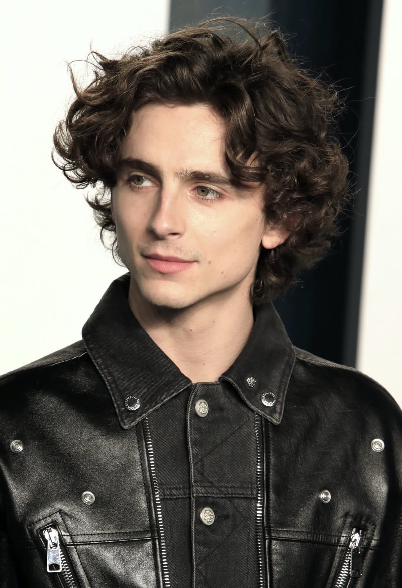 Timothee Chalamet tousled curls
