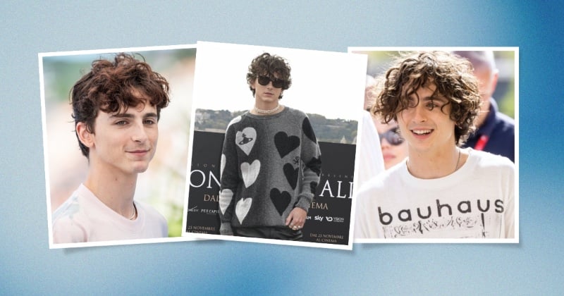 timothee chalamet hair