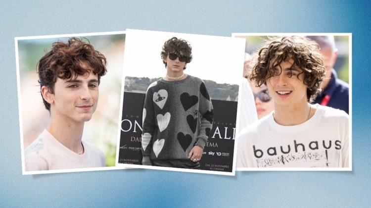 Timothée Chalamet Hair, from Curly Shag to <em>Dune</em>