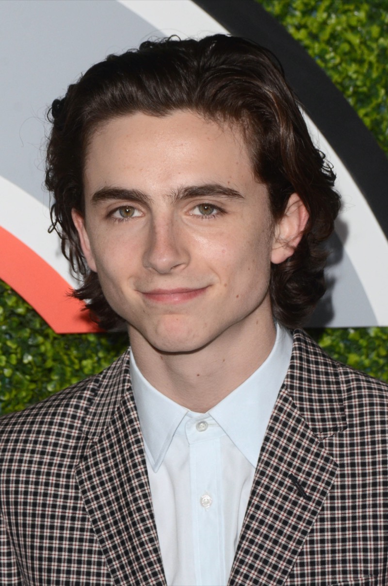 Timothee Chalamet long hair