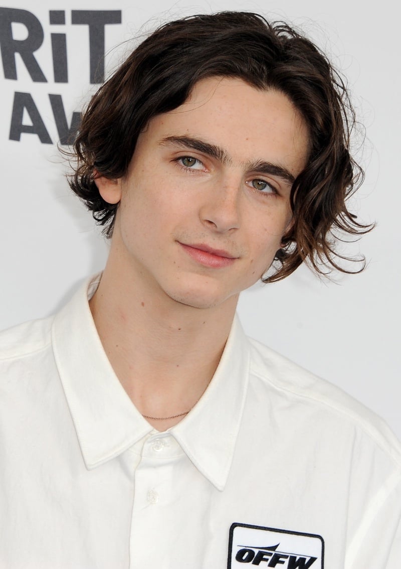 Timothee Chalamet middle part