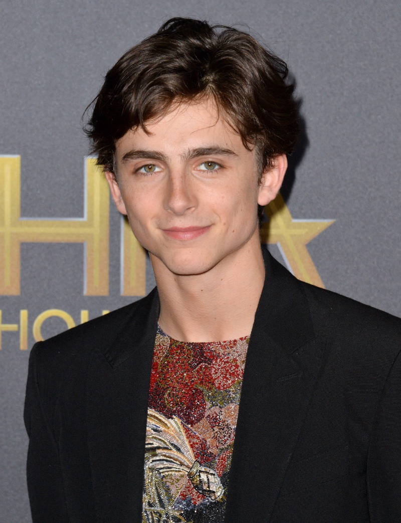 Timothee Chalamet short hair