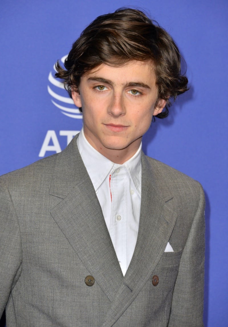 Timothee Chalamet side swept hair