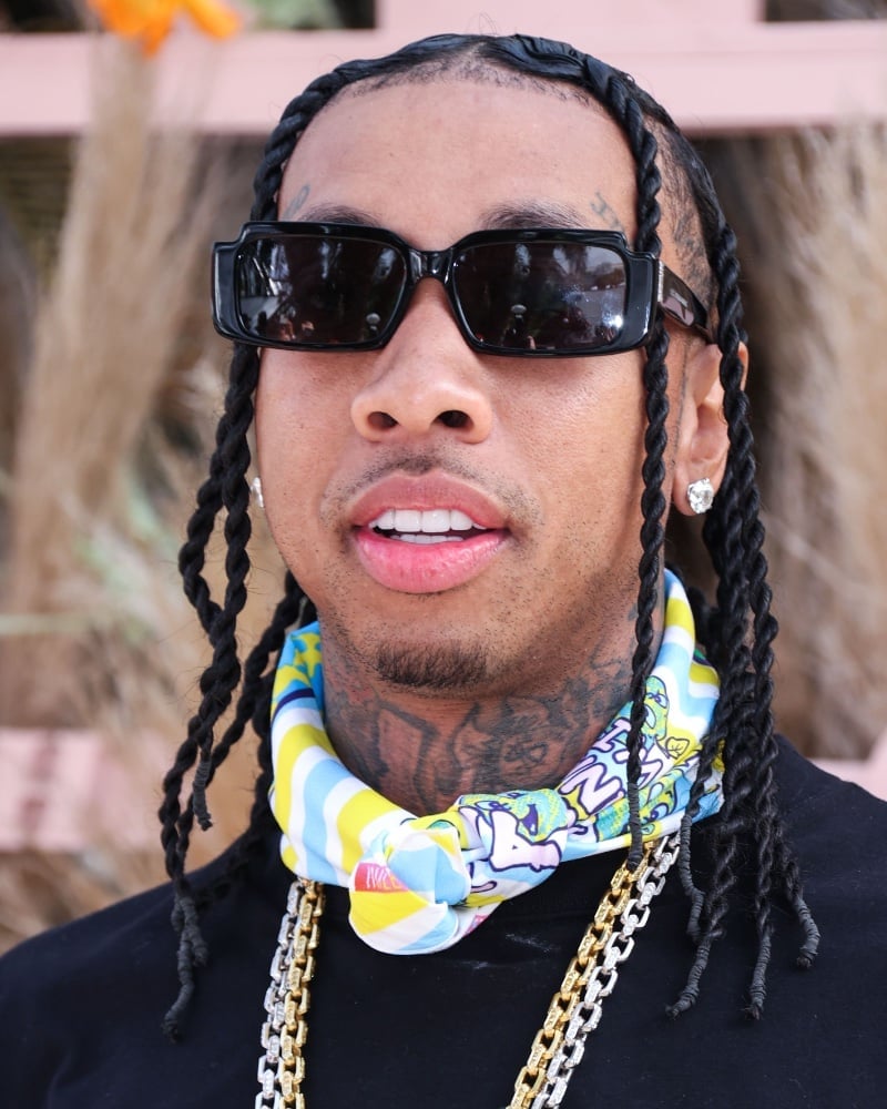 Tyga long braids