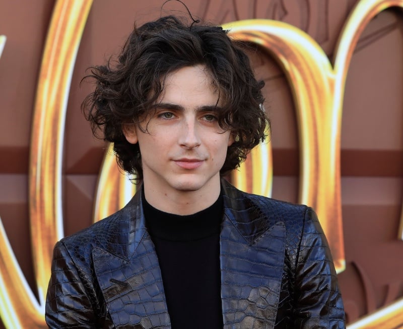 Timothée Chalamet middle part hair
