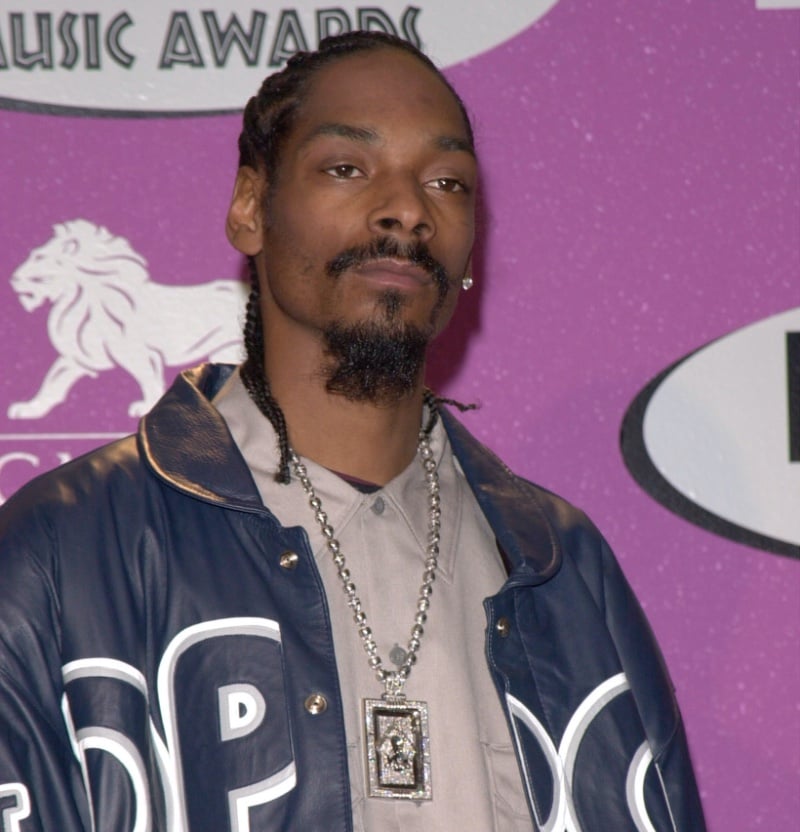 Snoop Dogg cornrows