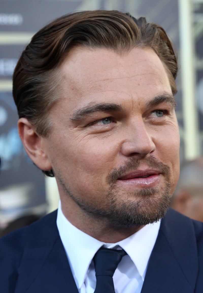 Hollywoodian beard Leonardo DiCaprio