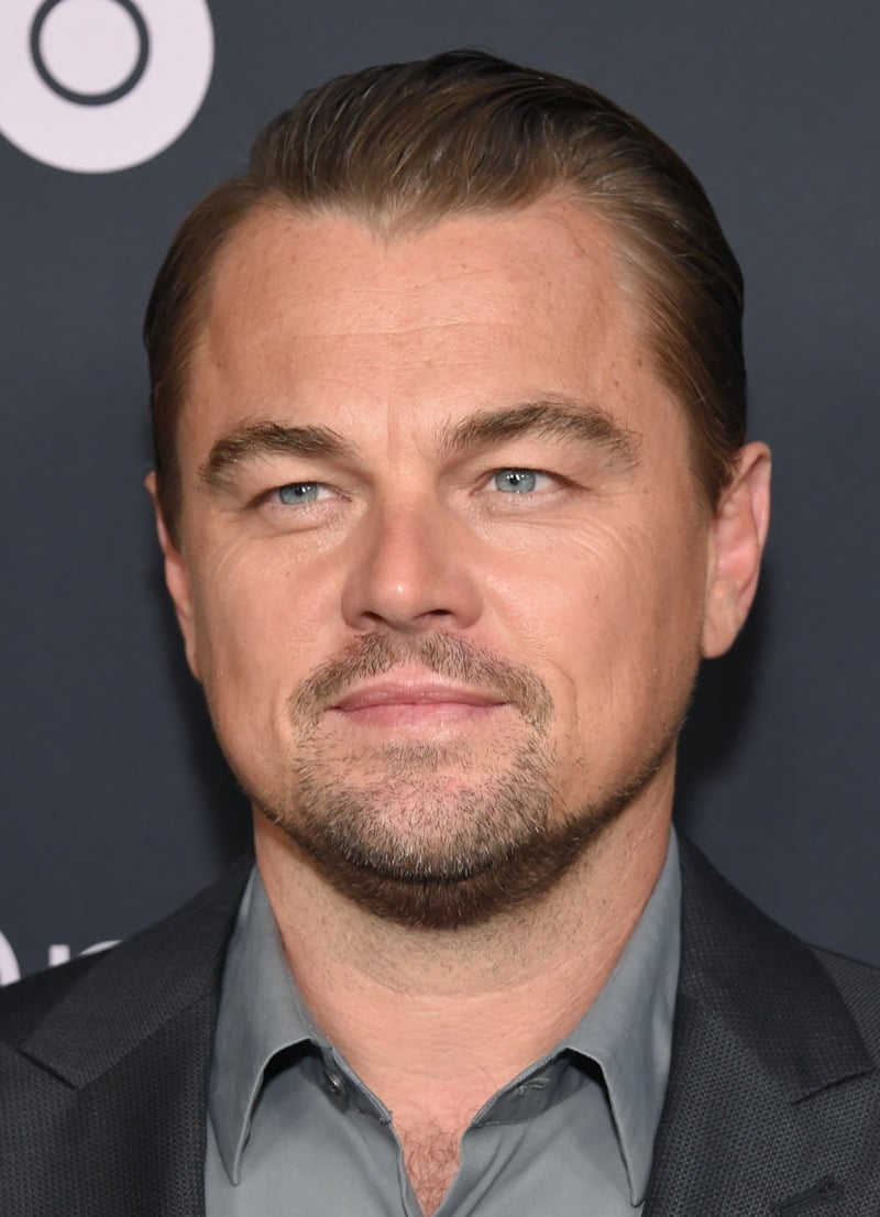 Leonardo DiCaprio slick back heart shaped face