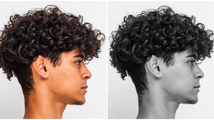 Curly Undercut Styles with a Clean Break at the Sides