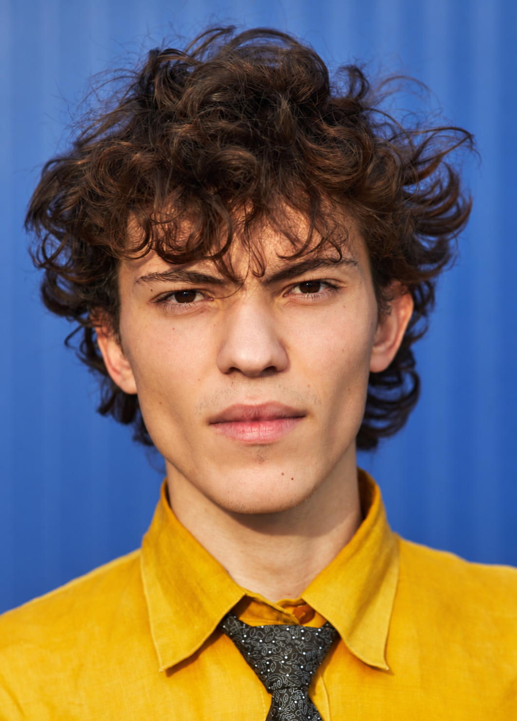 fluffy curly crop